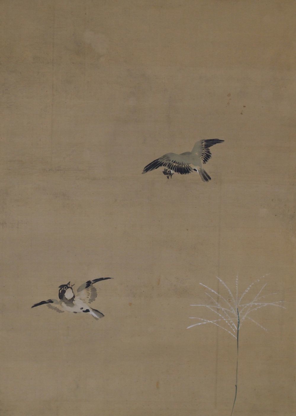 Close-up of the two flying birds in the Kakemono Birds and Peonies
