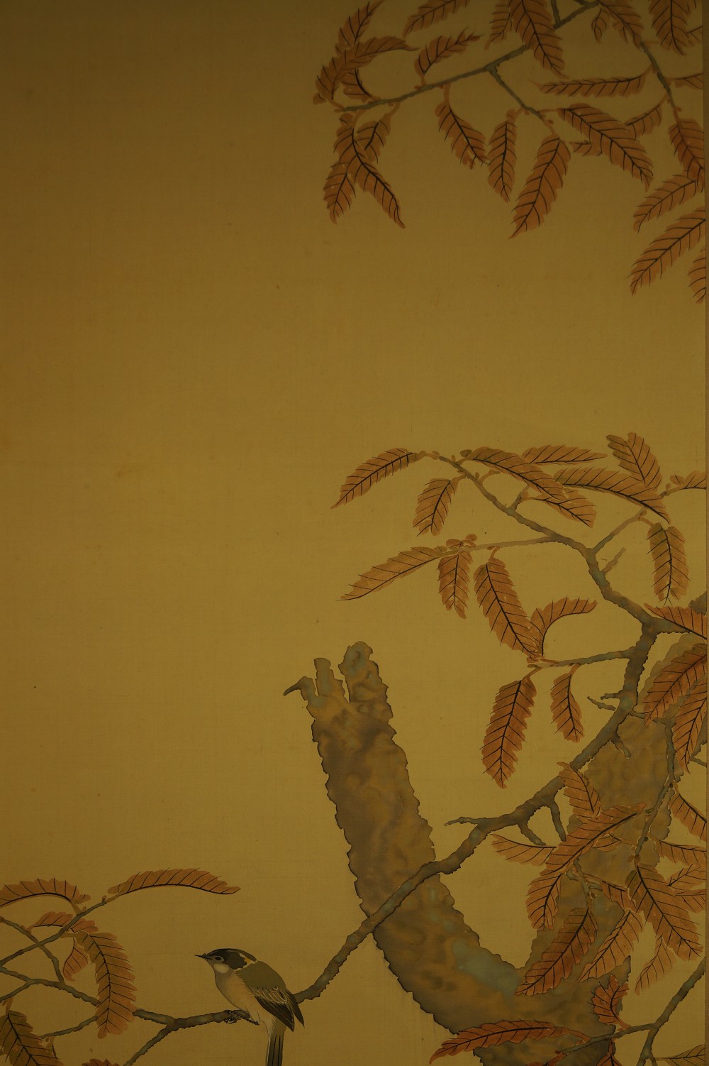 Spatz Baum Motiv Nahaufnahme 1