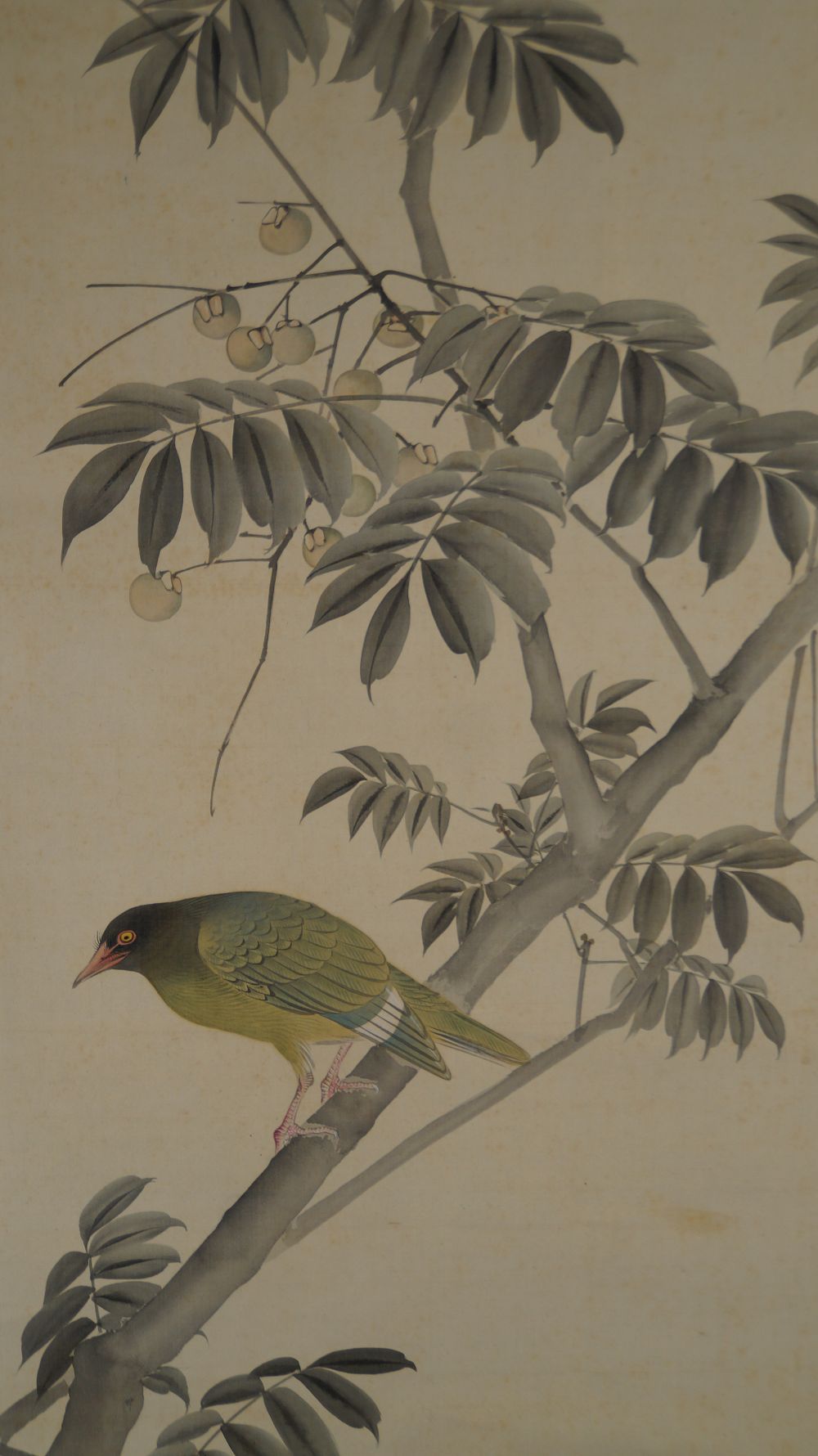 Autre gros plan de l'oiseau avec les fruits pendants de l'arbre fruitier dans le kakemono Oiseau sur un arbre fruitier