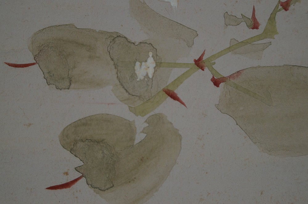 Kakemono Blume Blume Motiv Nahaufnahme 3