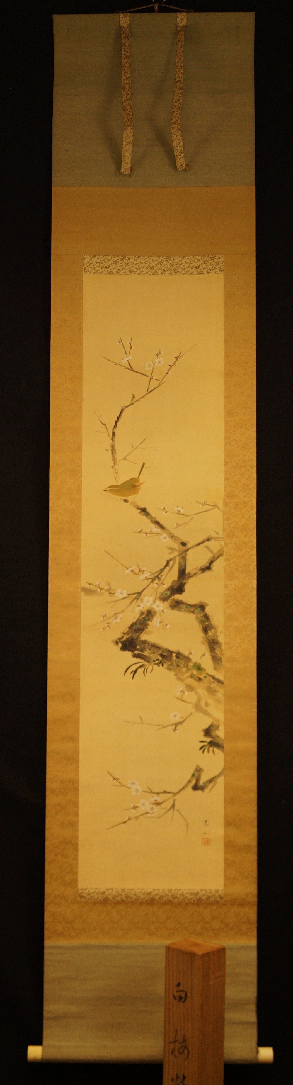 Vogel auf einem Kirschbaumzweig von Yasuyama Tachiwaki Gesamtansicht Rollbild