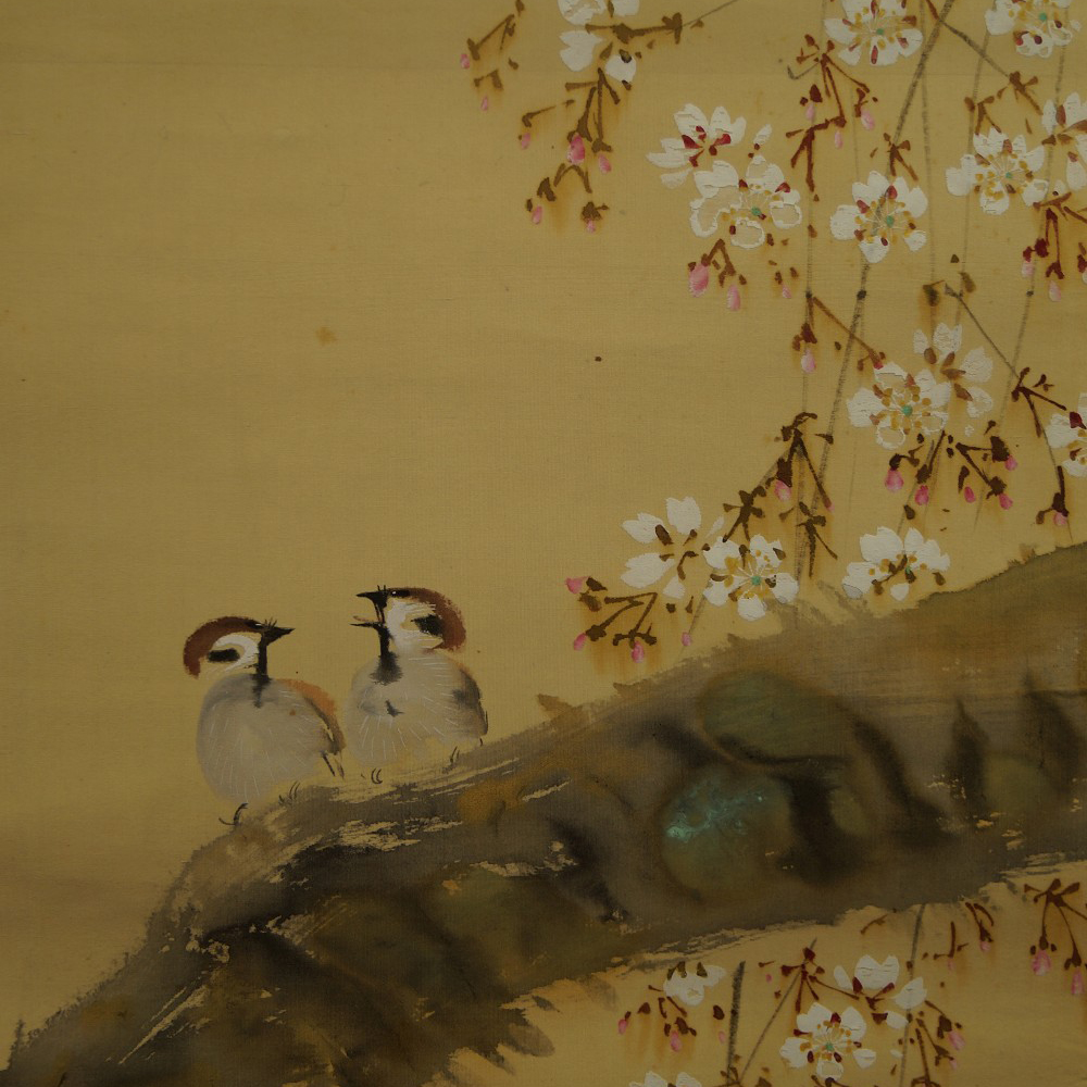 Zwei Spatzen auf dem Sakura Zweig Motiv Nahaufnahme Vorschau