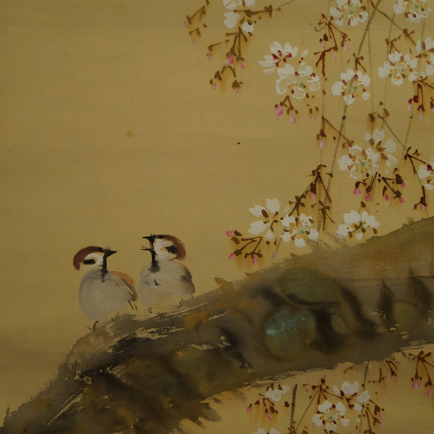 Zwei Spatzen auf dem Sakura Zweig Motiv Nahaufnahme Vorschau