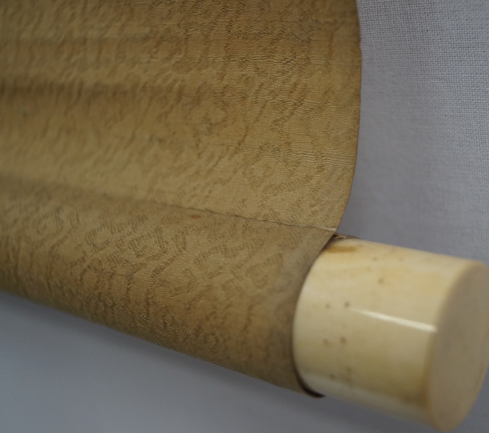 Le vieux pin détail du rouleau