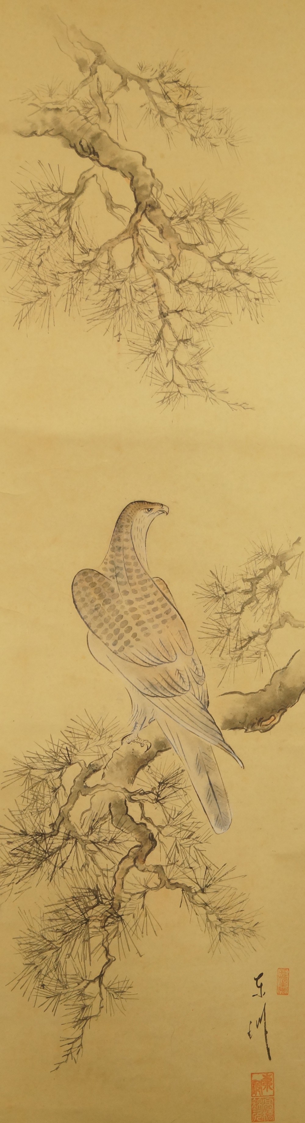 Faucon sur pin peinture à l'encre motif d'ensemble sans montage