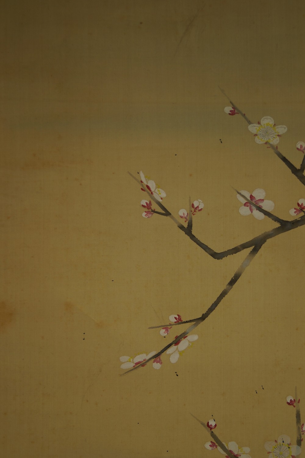 Vogel und Pflaumenblueten von Hiroshi Matsuda Blueten-Motiv Nahaufnahme 1