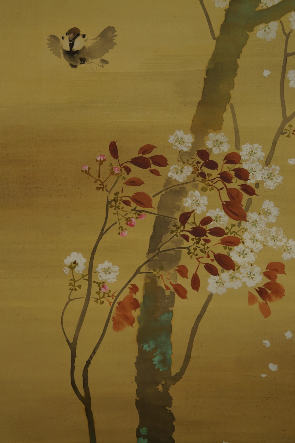 Japanisches Rollbild Spatz und Sakura Spatz Motiv Nahaufnahme 2