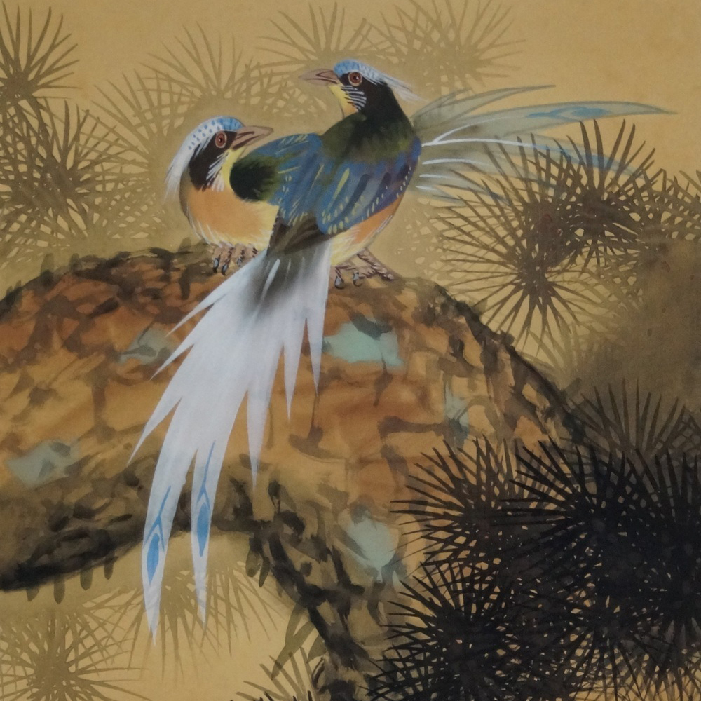 Vogel und Pfingstrose Rollbild Motiv Nahaufnahme Vorschau