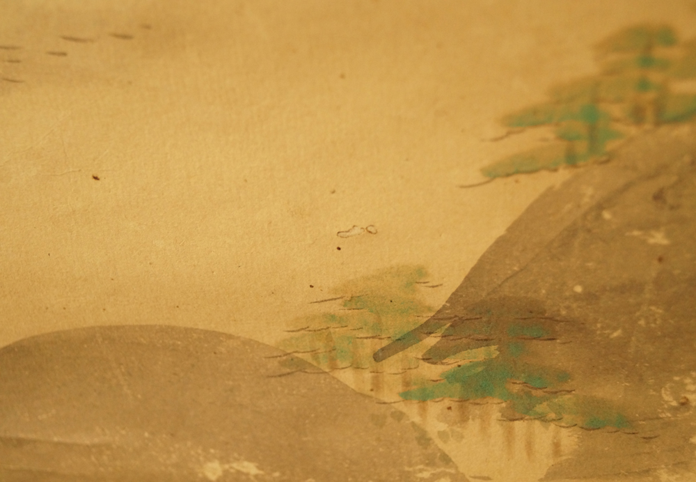 Oiseaux au-dessus d'une colline couverte de pins gros plan paysage 5