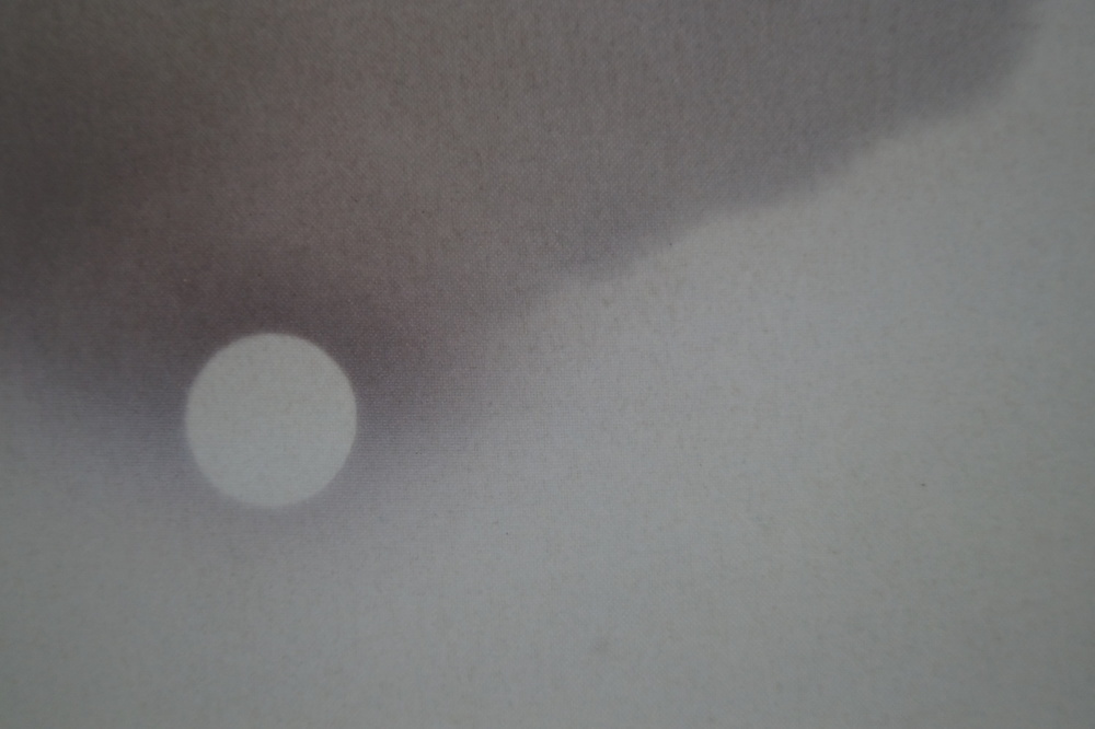 Naechtliche Landschaft Mond-Motiv Nahaufnahme 2