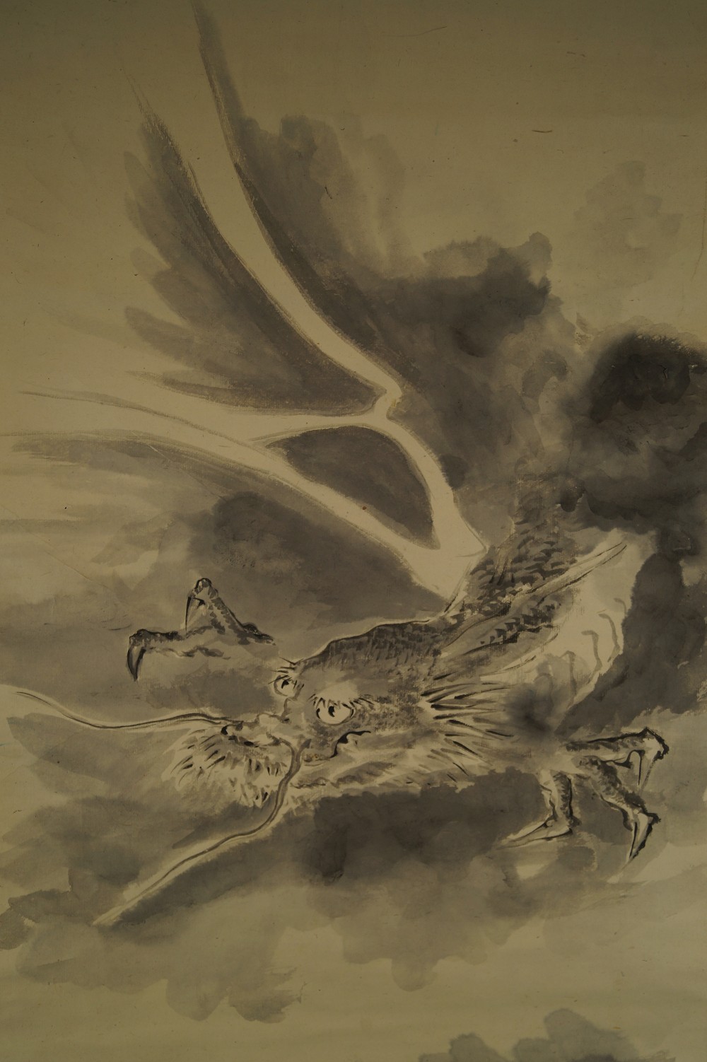 Tête de dragon aux ailes déployées motif gros plan