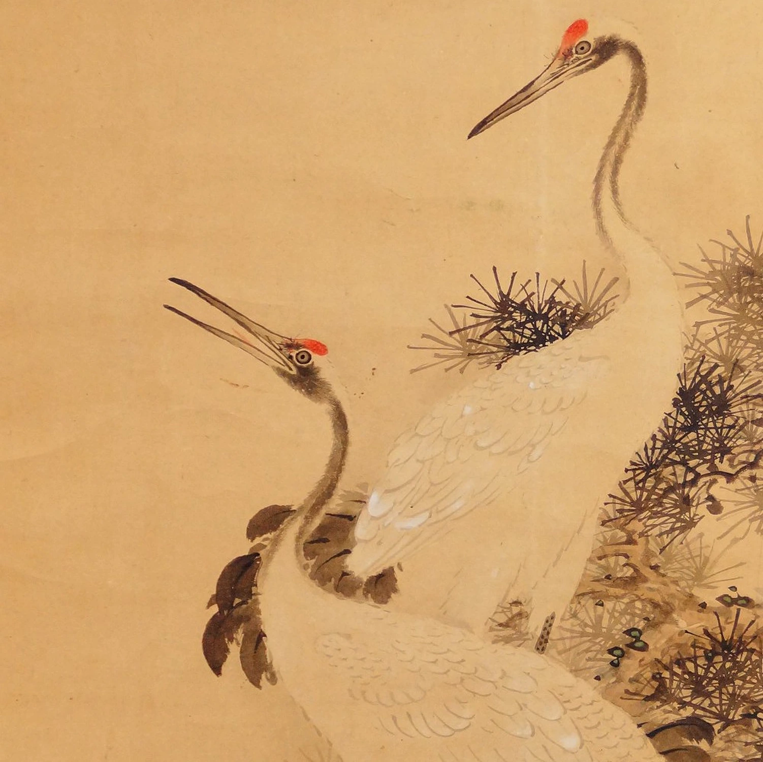 Zwei Kranichkoepfe in Nahaufnahme unter Kiefernzweigen, Kakemono von Murata Toho