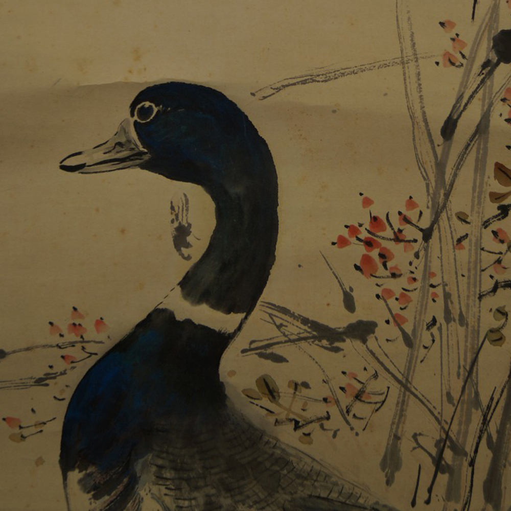 Zwei Enten im Gras Rollbild Motiv Nahaufnahme Vorschau