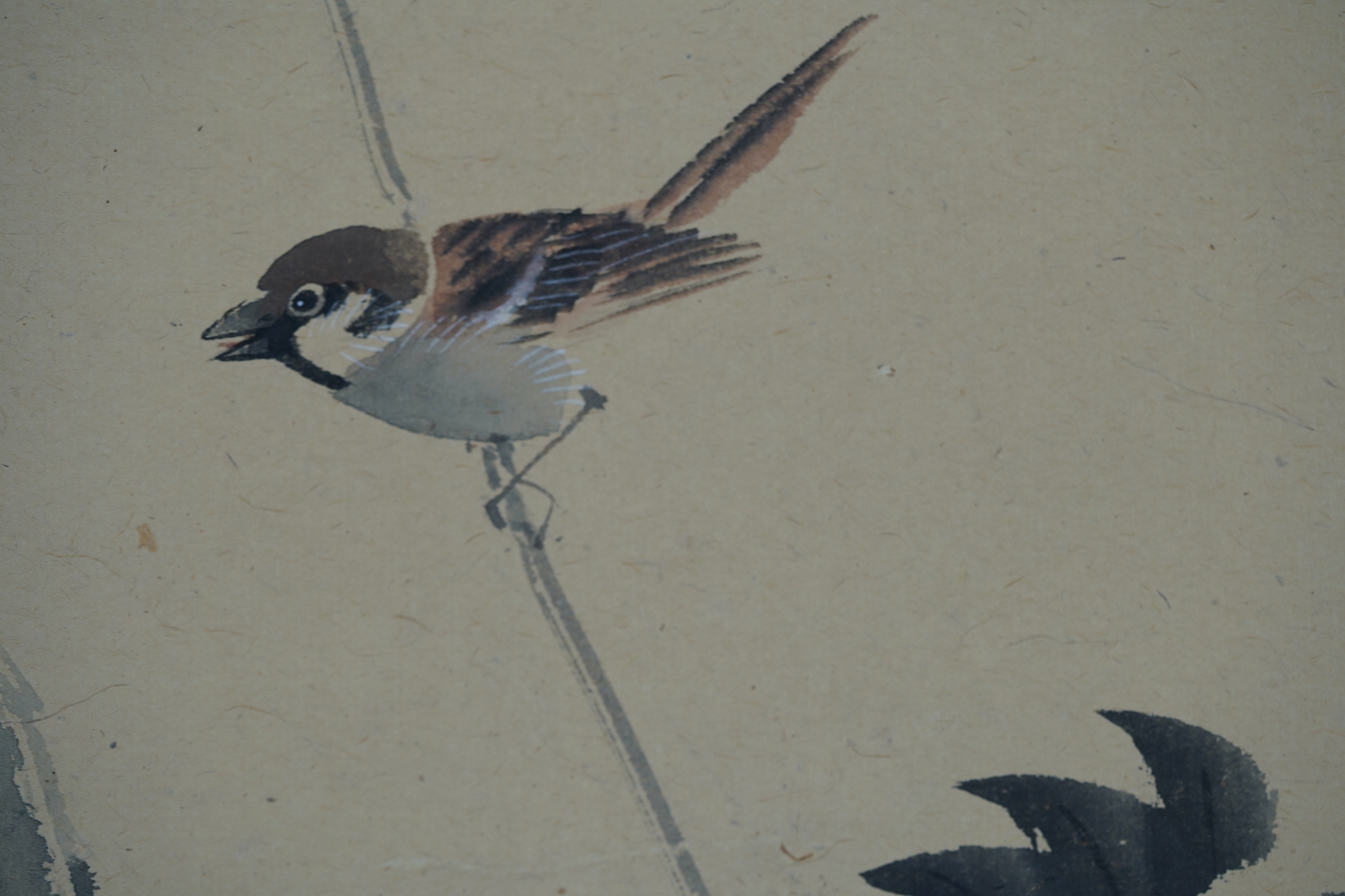 Nahaufnahme des Sperlings auf dem Kakemono Sperling an Glyzinie