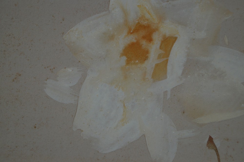 Kakemono Blume Blume Motiv Nahaufnahme 2