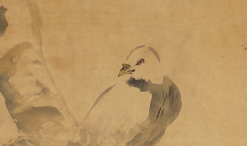 Kakemono von Suzuki Shōnen: Taube auf einem Ast, in kräftiger Tusche.