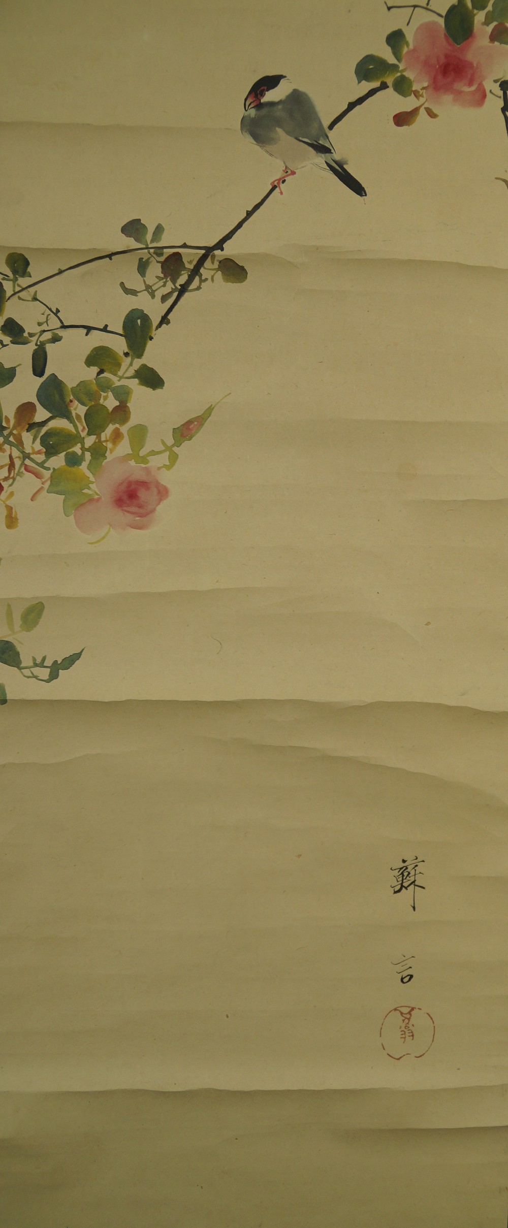 Vogel auf einem Rosenzweig Vogel Motiv Nahaufnahme 2