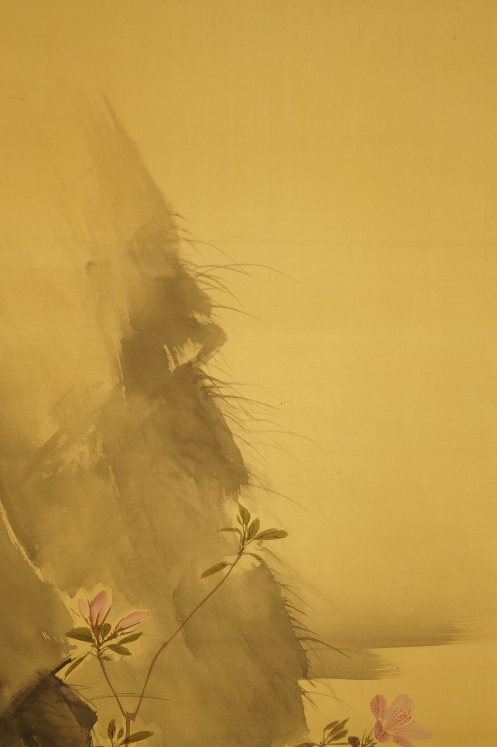 Felswand mit Gras im Nebel Landschaft Nahaufnahme 1