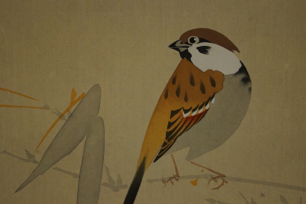 Moineau de profil gros plan sur le motif 5