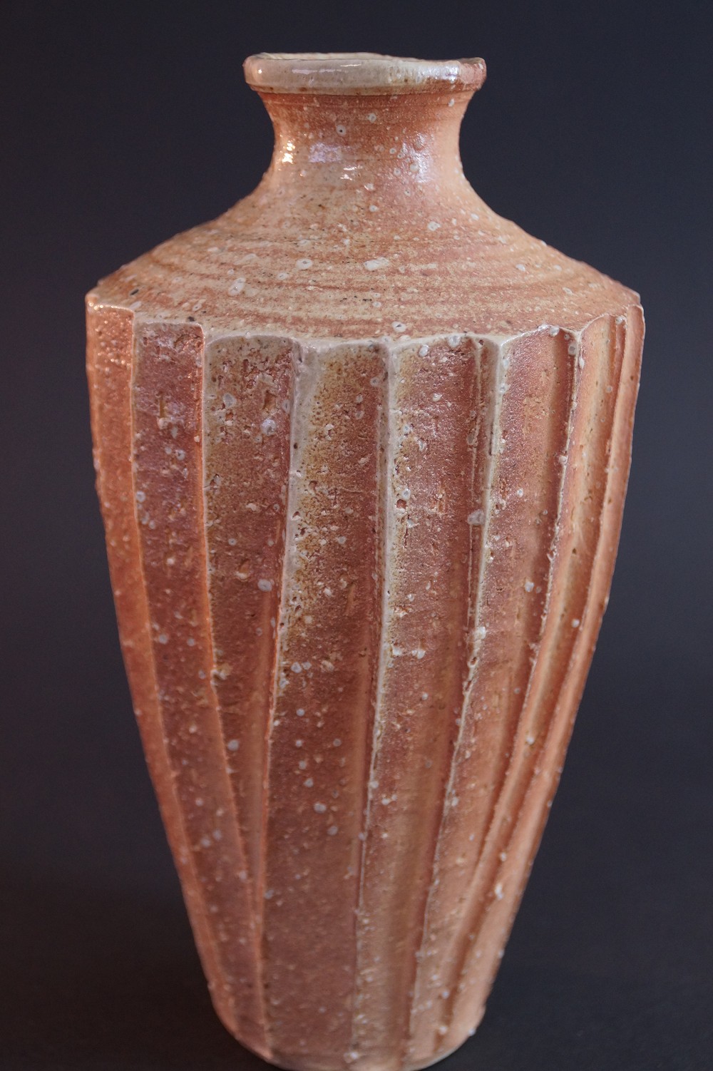 Shigaraki Vase von Takahashi Rakusai Seitenansicht 2