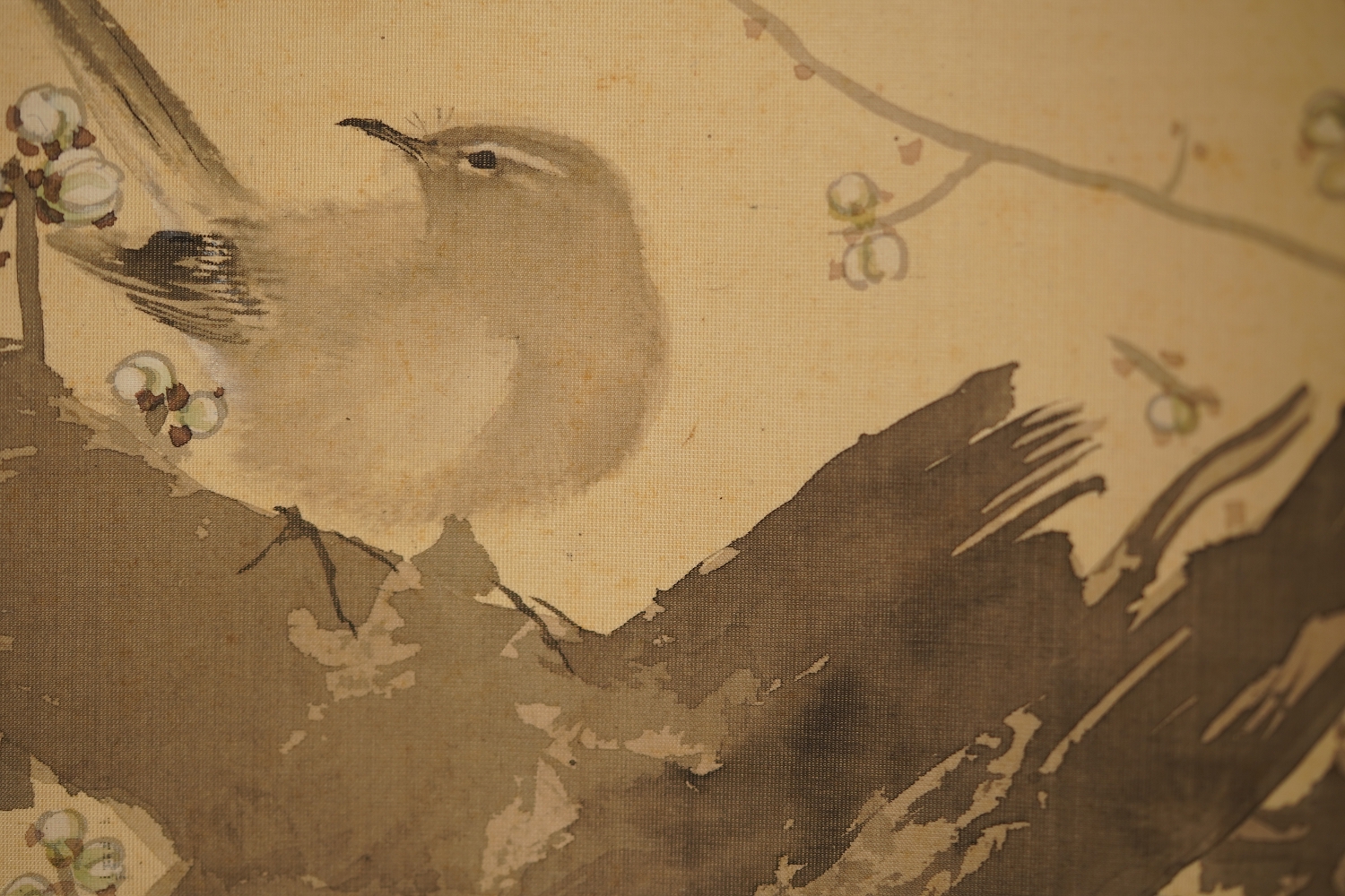 Nahaufnahme des Singvogels zwischen Pflaumenblueten und Fels im Kakemono Singvogel auf bluehendem Pflaumenbaum