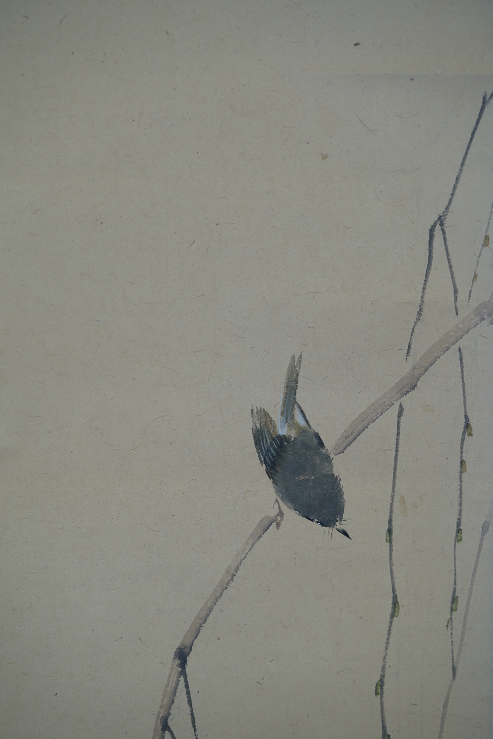 Weitere Nahaufnahme des Vogels am Weidenzweig im Kakemono
