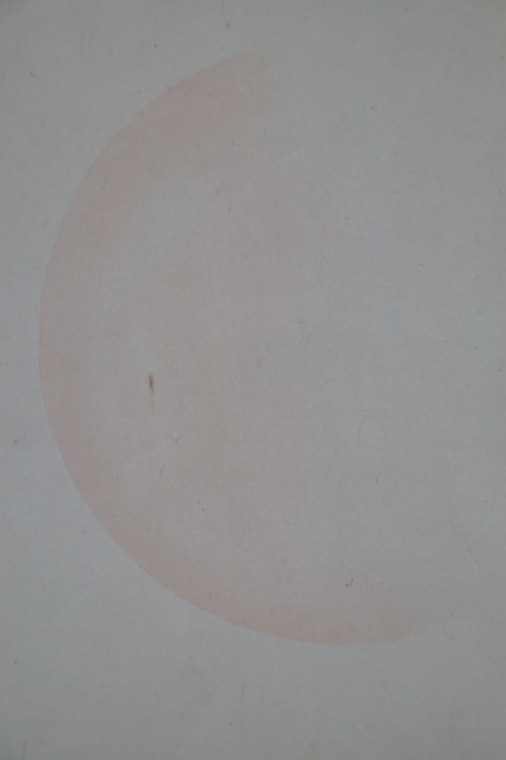 Detail view of the delicate pink evening sun in the hanging scroll Puppy in the Sunset Glow under Pines