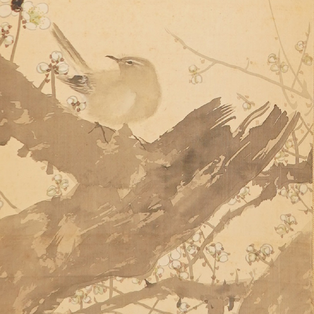 Weitere Nahaufnahme des Singvogels zwischen den Pflaumenblueten im Kakemono Singvogel auf bluehendem Pflaumenbaum