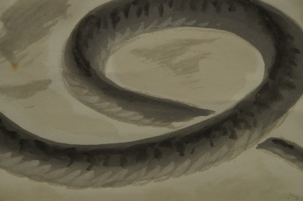 Serpent par Kozan motif serpent gros plan 3