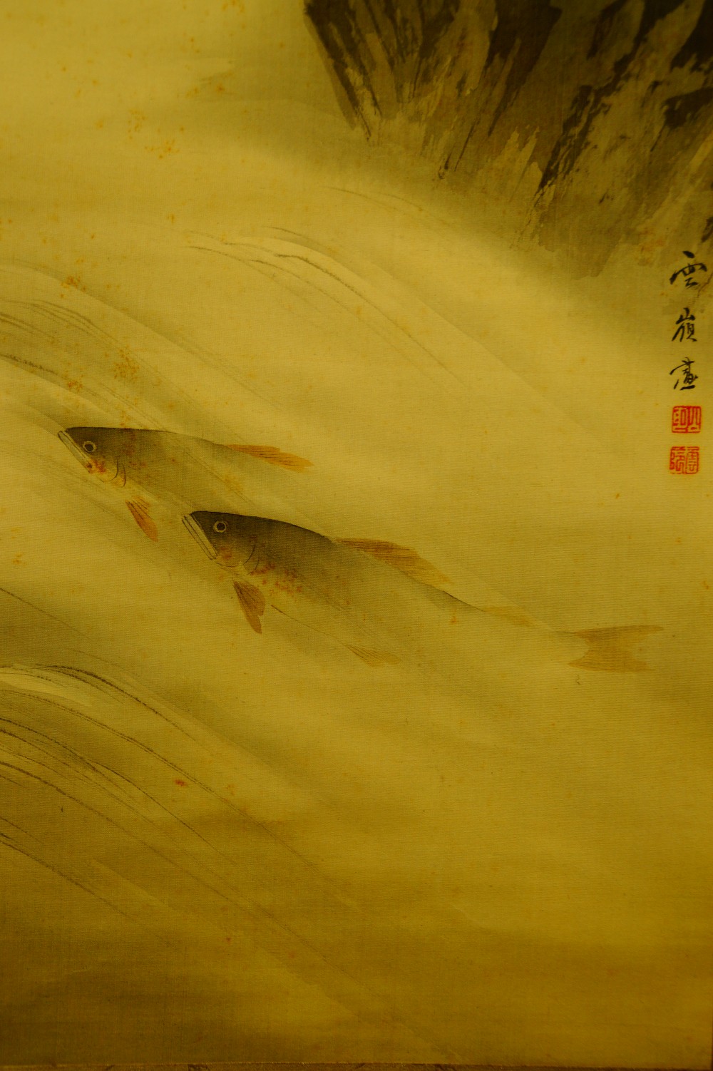 Zwei Forellen im Wasser Kakemono von Akamatsu Unrei Forellen-Motiv Nahaufnahme