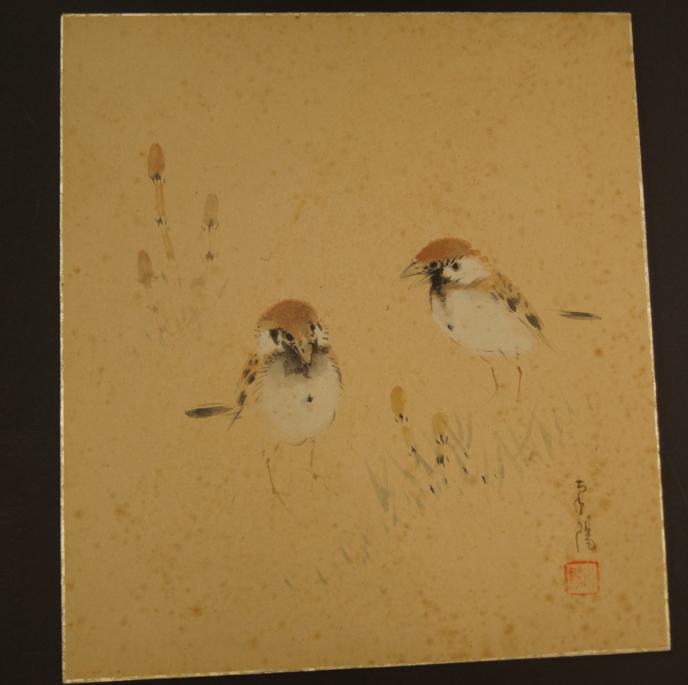 Shikishi Zwei Spatzen Shikishi Gesamtansicht