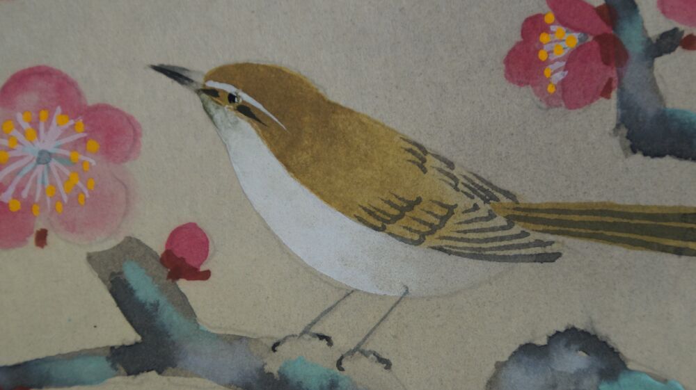 Weitere Nahaufnahme des Singvogels zwischen den Pflaumenblueten im Kakemono Singvogel am bluehenden Pflaumenbaum