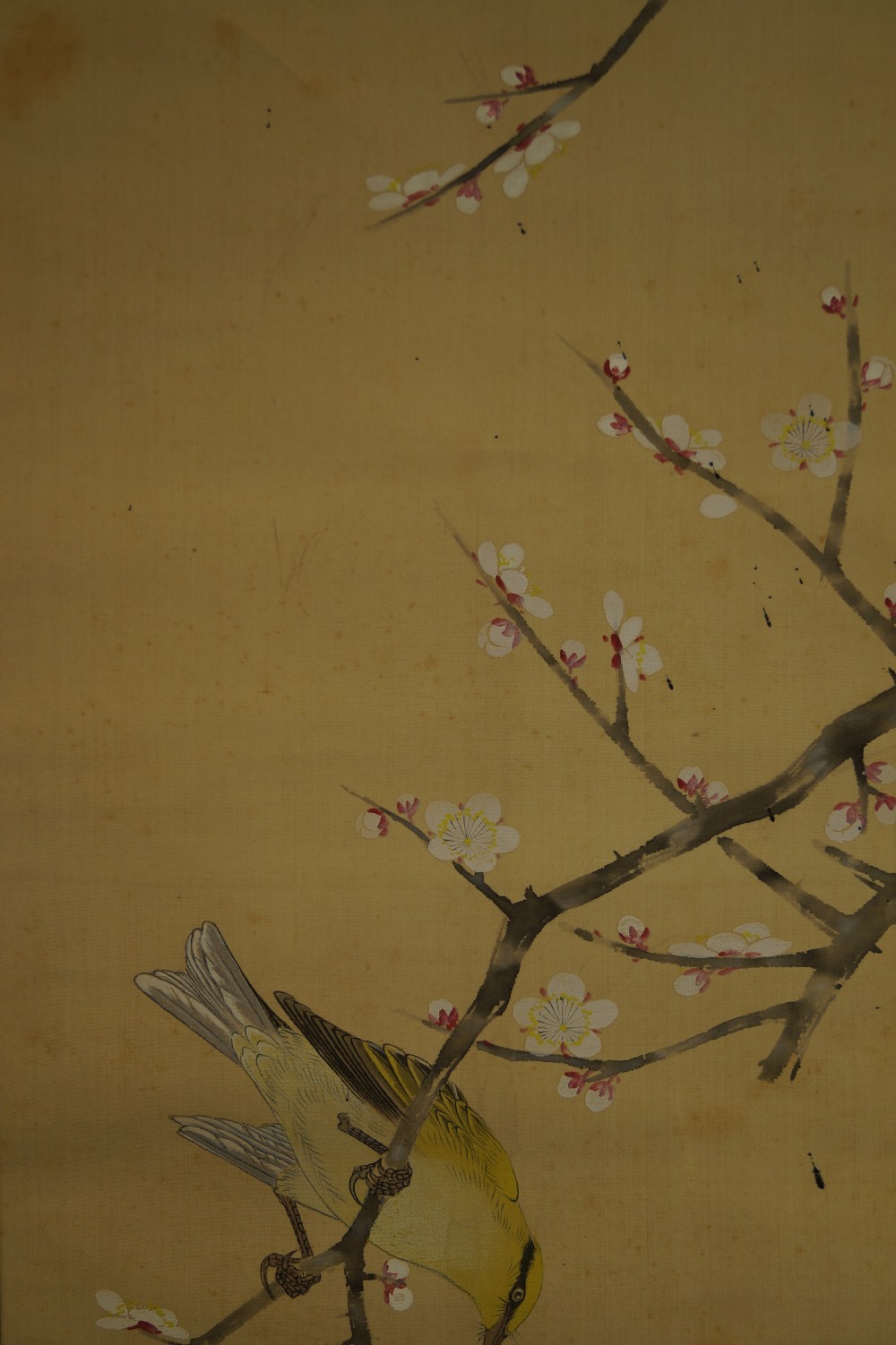Vogel und Pflaumenblueten von Hiroshi Matsuda Blueten-Motiv Nahaufnahme 2