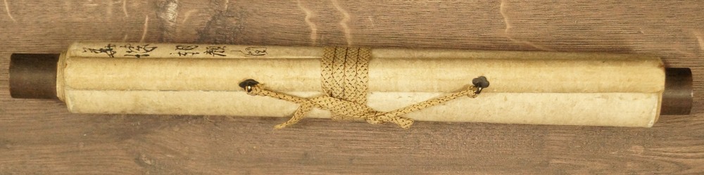 Lumaca sul fiore di loto arrotolato