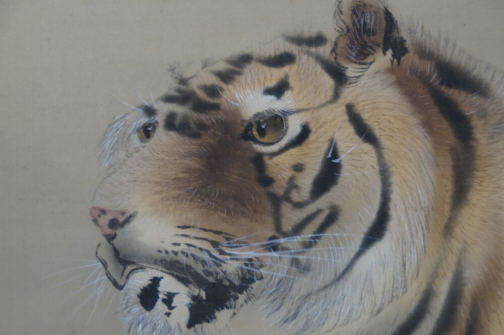 Nahaufnahme des Tigerkopfes mit Augen und Schnurrhaaren im Kakemono Tiger auf Felsen
