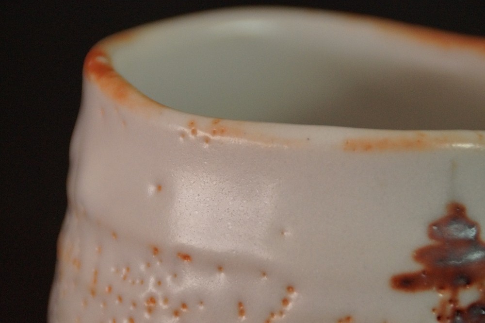 Chawan aus Shino-Keramik von Noritoshi Takagi Randansicht Nahaufnahme