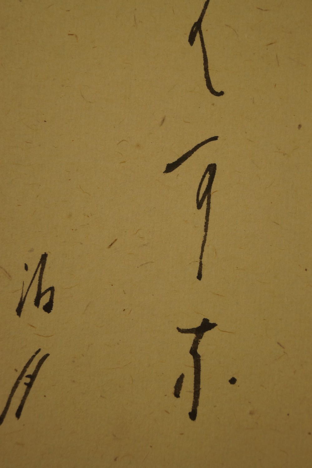 Iris Kakemono Kalligrafie Nahaufnahme 2
