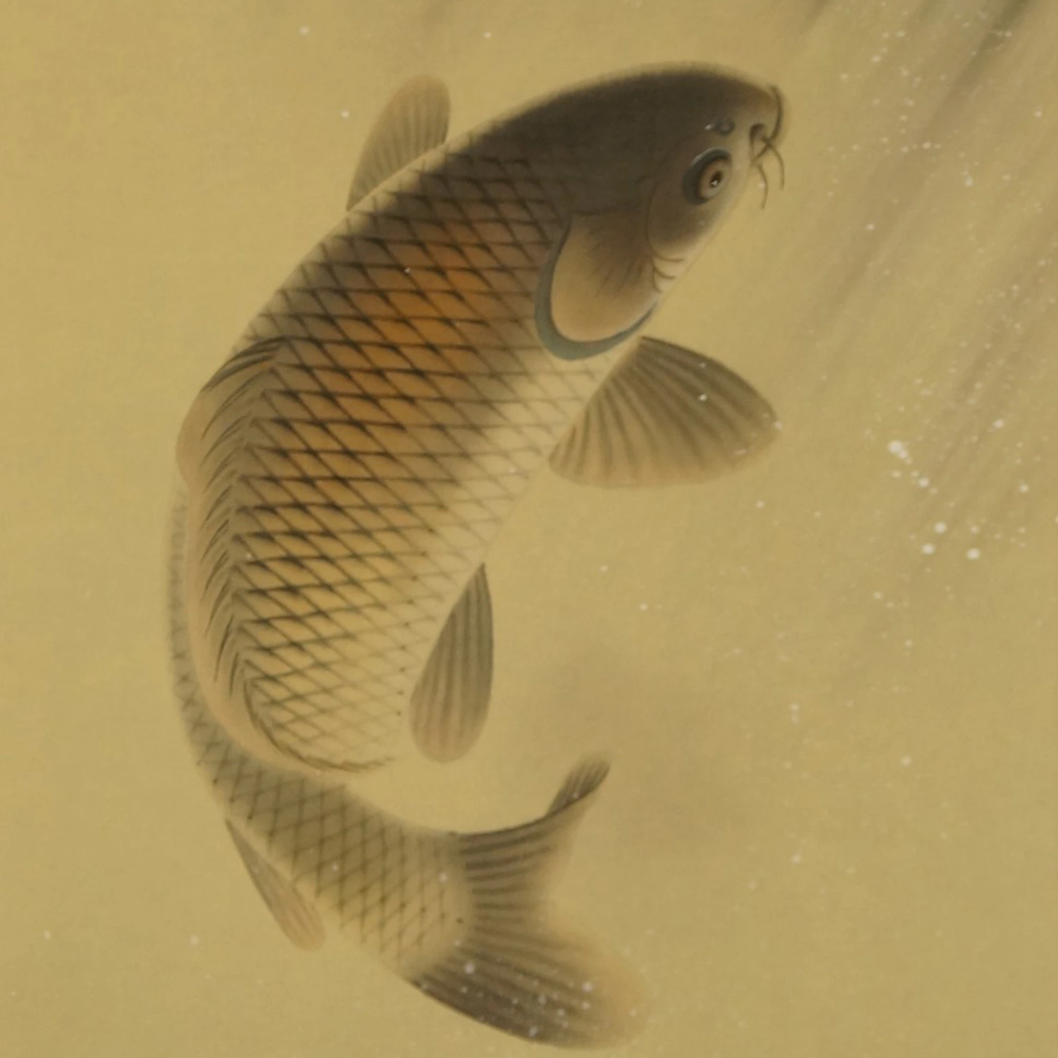 Koi am Wasserfall Kakemono Motiv Nahaufnahme Vorschau