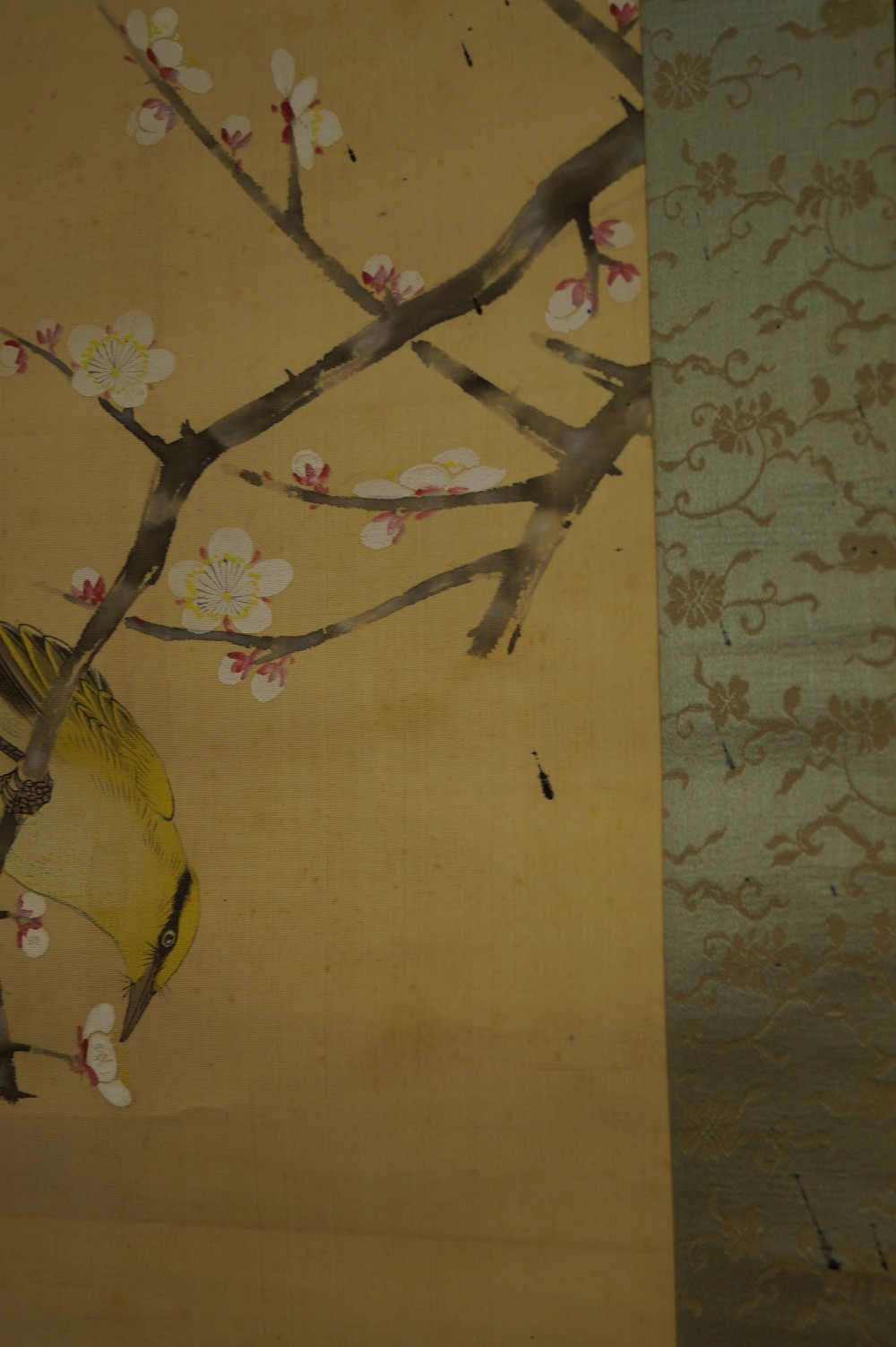 Vogel und Pflaumenblueten von Hiroshi Matsuda Blueten-Motiv Nahaufnahme 3