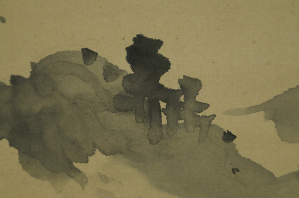 Fuji-San di Kishi Koma primo piano paesaggio 2