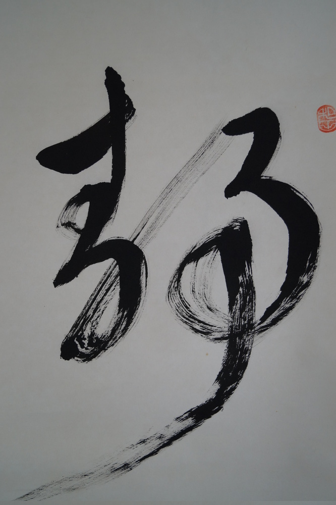 Bodhidharma Daruma kakejiku kaligrafia zbliżenie