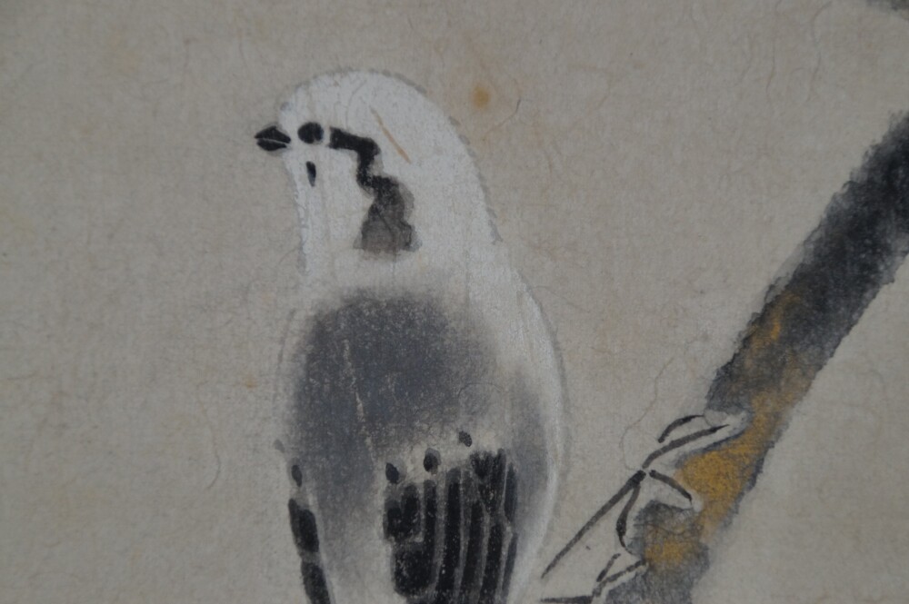 Extreme Nahaufnahme des Vogelkopfes und Gefieders im Kakemono Pflaumenblueten im leisen Fruehlicht von Tokuoka Shinsen