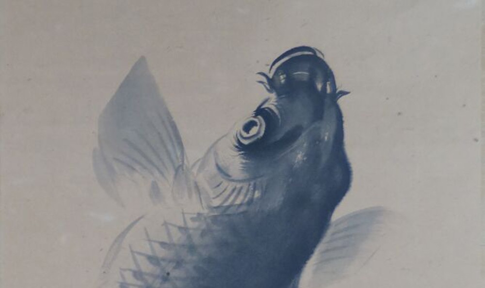 Kakemono von Gyokusha Shunki: springender Karpfen im Wasser, in Tusche und Farbe.