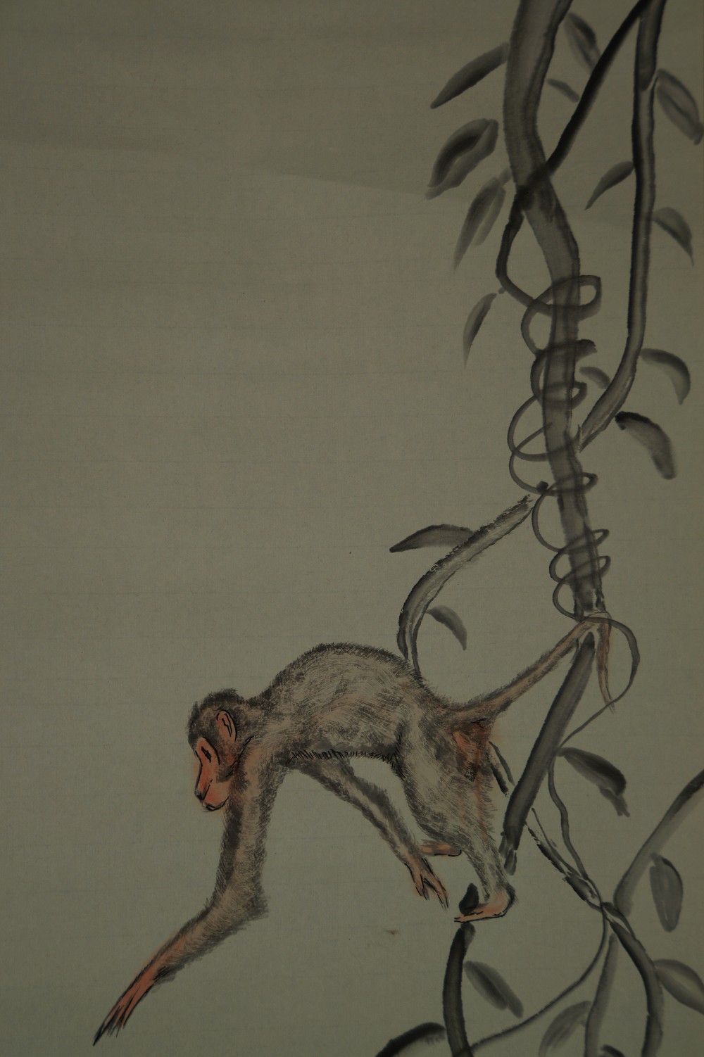 Close-up of the monkey hanging from the vine with outstretched arm