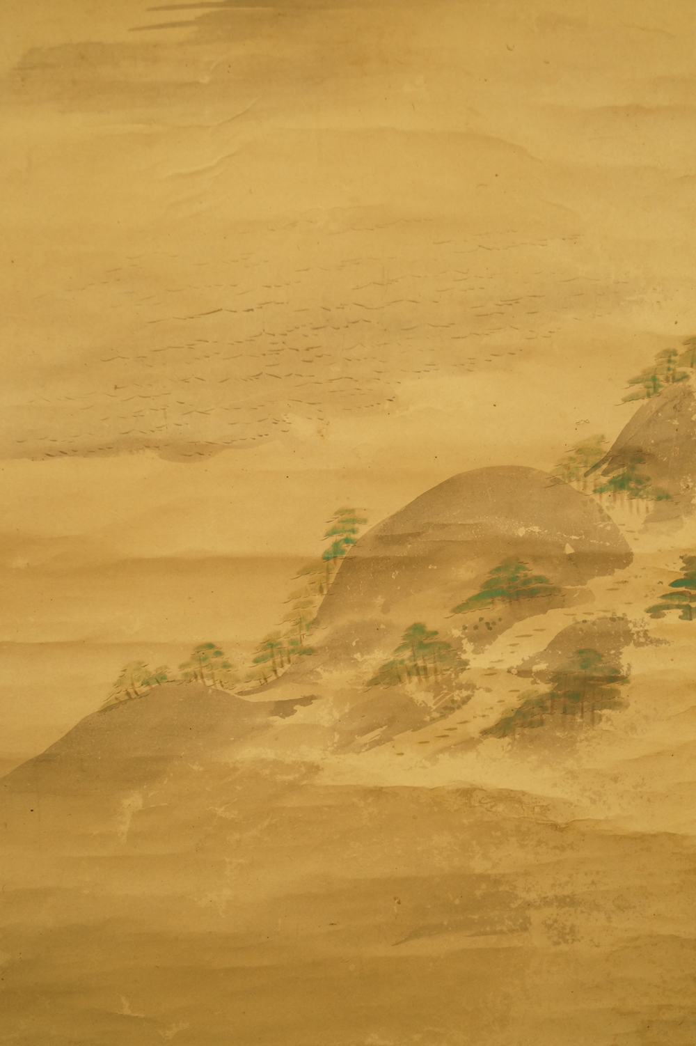 Colline de pins dans la brume paysage gros plan 2