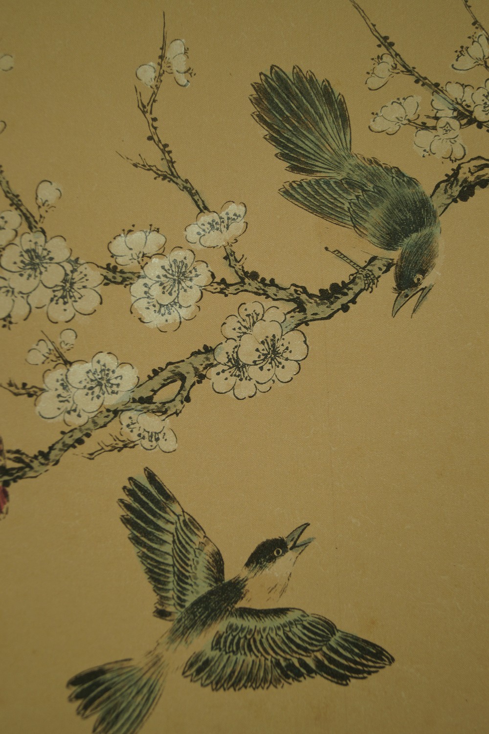 Kakemono Pfingstrosen und Sakura Voegel-Motiv Nahaufnahme 3
