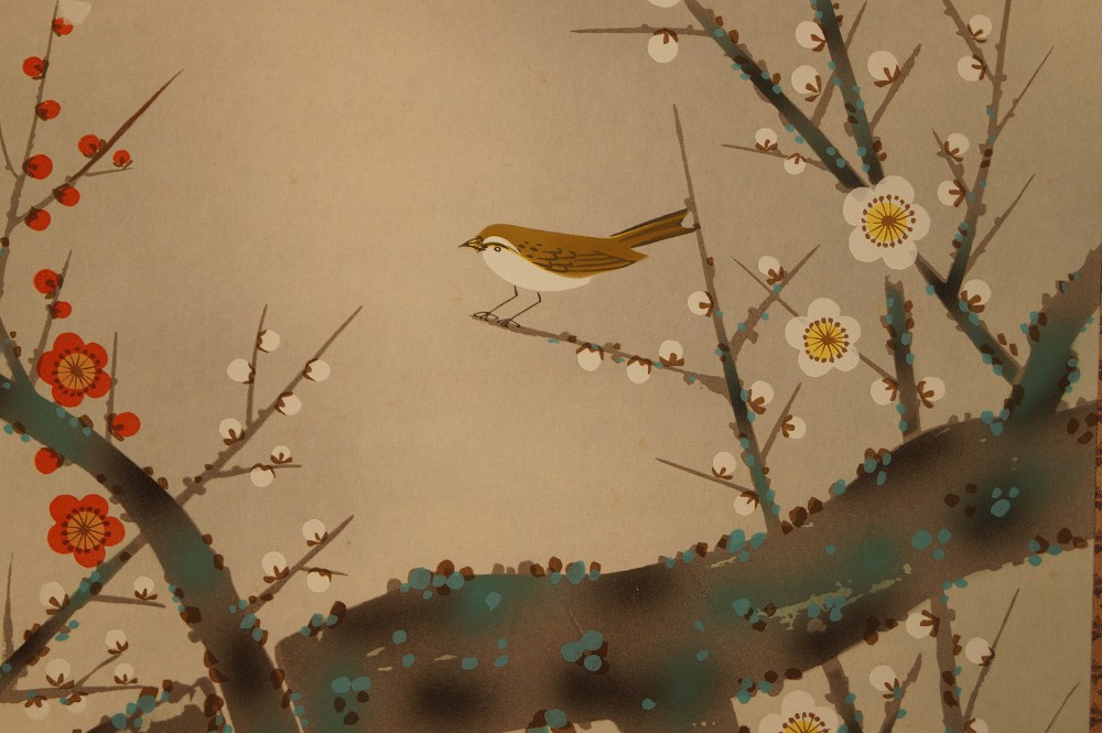 Nachtigall am Sakura Zweig Nachtigall Nahaufnahme 1
