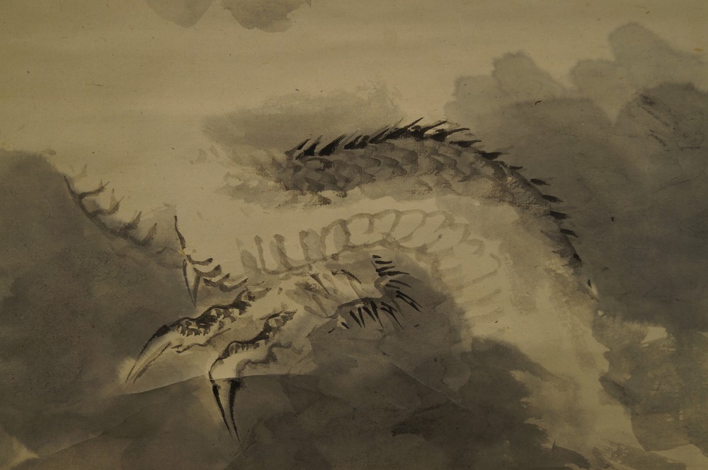 Gros plan du motif d'écailles et de griffes de dragon