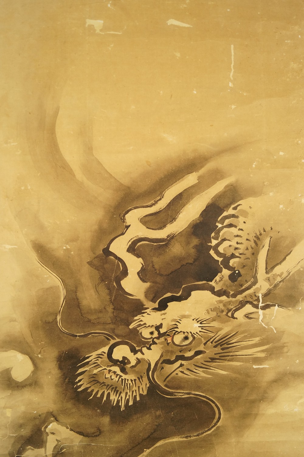 Zorniger Drachenkopf Tanaka Koga Drache Motiv Nahaufnahme