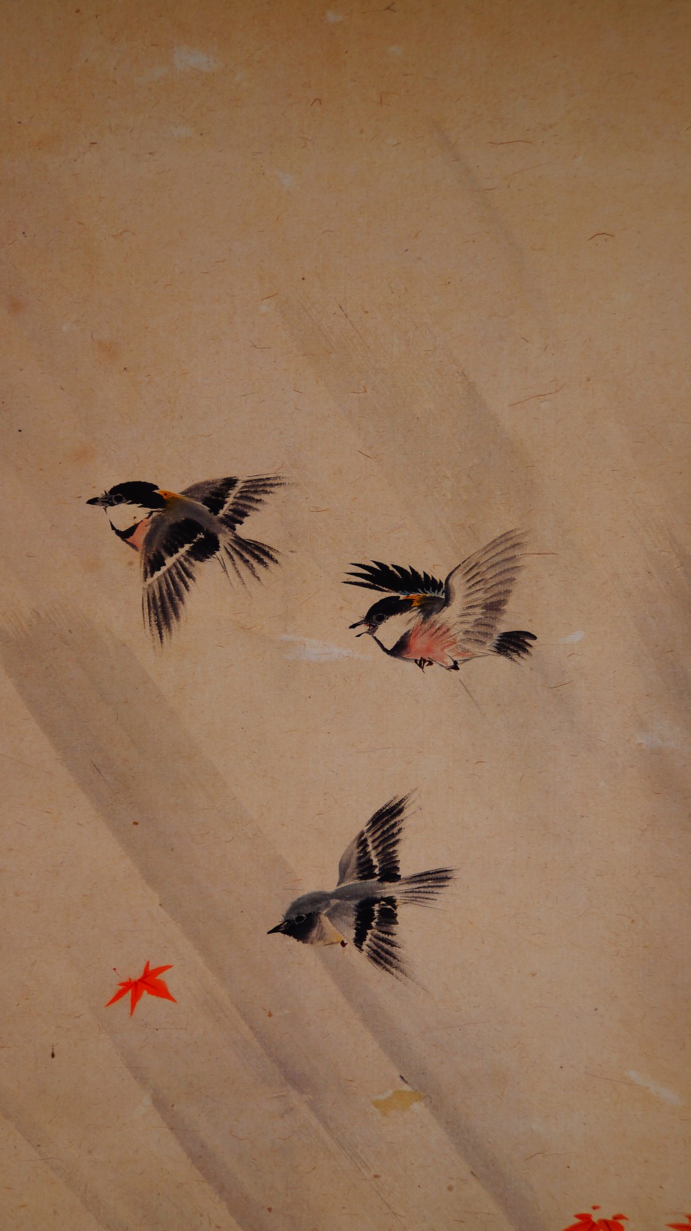 Herbstflug im Morgenlicht Kakemono von Manjo Kajo Voegel-Motiv Nahaufnahme